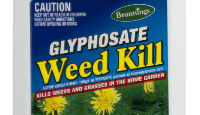 glyphosate-weed-kill-100g-l-concentrate-1l-brunnings