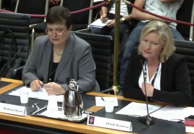 A screen grab showing Sally, with Ms Rygate, answering questions at the NSW Senate inquiry.