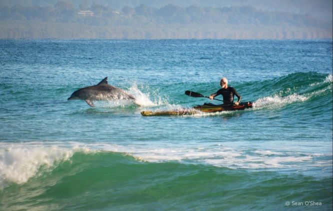 This image, titled Dolphin and Kayaker Sharing a Wave at Byron Bay, is the shot that got Sean through to the semis. Photo: Sean O’Shay
