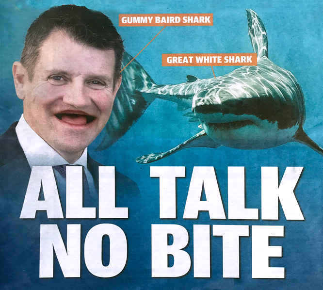 Mike "Gummy Shark" Baird on the cover of today's Gold Coast Bulletin.