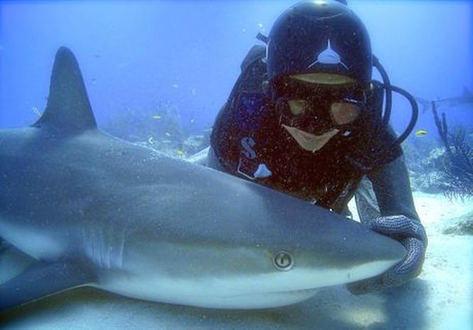 Madison Stewart with a Caribbean reef shark in 'tonic immobility' in a scene from the TV documentary Shark Girl. Supplied by ABC TV publicity. Photo: Andy Casagrande.