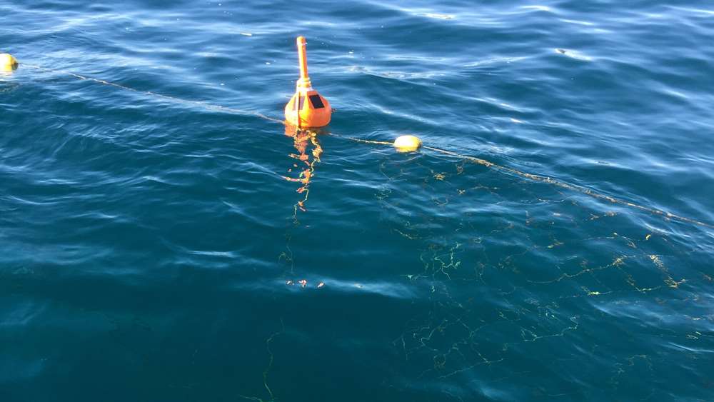 Shark net underneath the water with an acoustic sonar bouy, designed by CoastalCOMS (Used to research the effectiveness of pingers on the shark nets). Photo: Supplied.
