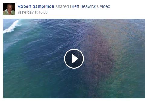 sampimon-vid-share-avoca-beach