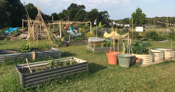 Suffolk Park Community Gardens, also affected by the NSW Education Department sell-off. Photo: Facebook.
